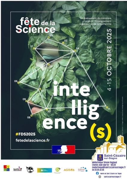 FDS_p1